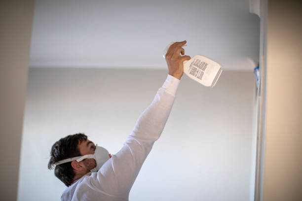 Best Emergency Mold Removal  in Downey, CA